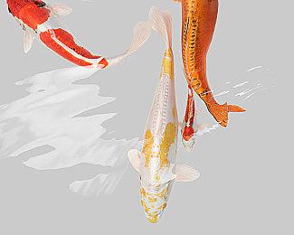 《异度之刃X：终极版》新截图：场景震撼 画面精美